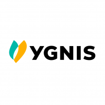 YGNIS