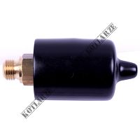 ACV Prestige - Presostat wody (Prestige 24-32 MK2, HeatMaster N, HeatMaster 25-120TC V13)